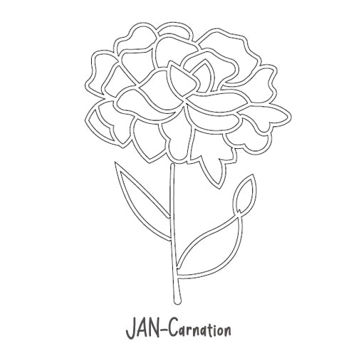Silver Plating / Jan-Carnation